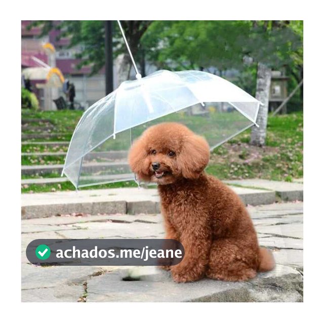 Guarda Chuva Pet Cachorro: Modelo Invertido