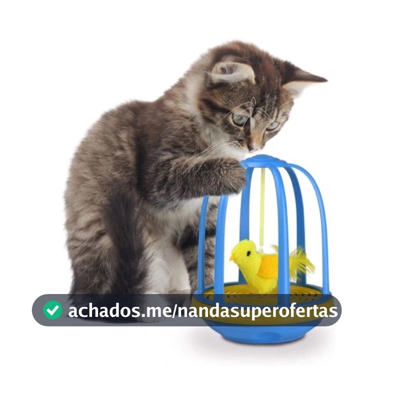 Beinquedo Interativo Para Gatos Gaiola Com Passaro e Som