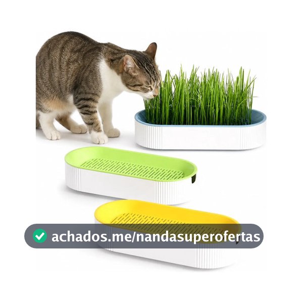 KIT POTE PARA PLANTAR GRAMA COMESTÍVEL PARA GATO COM KIT COM SEMENTES HIDROPÔNICO AUXILIA COM BOLA DE PELO