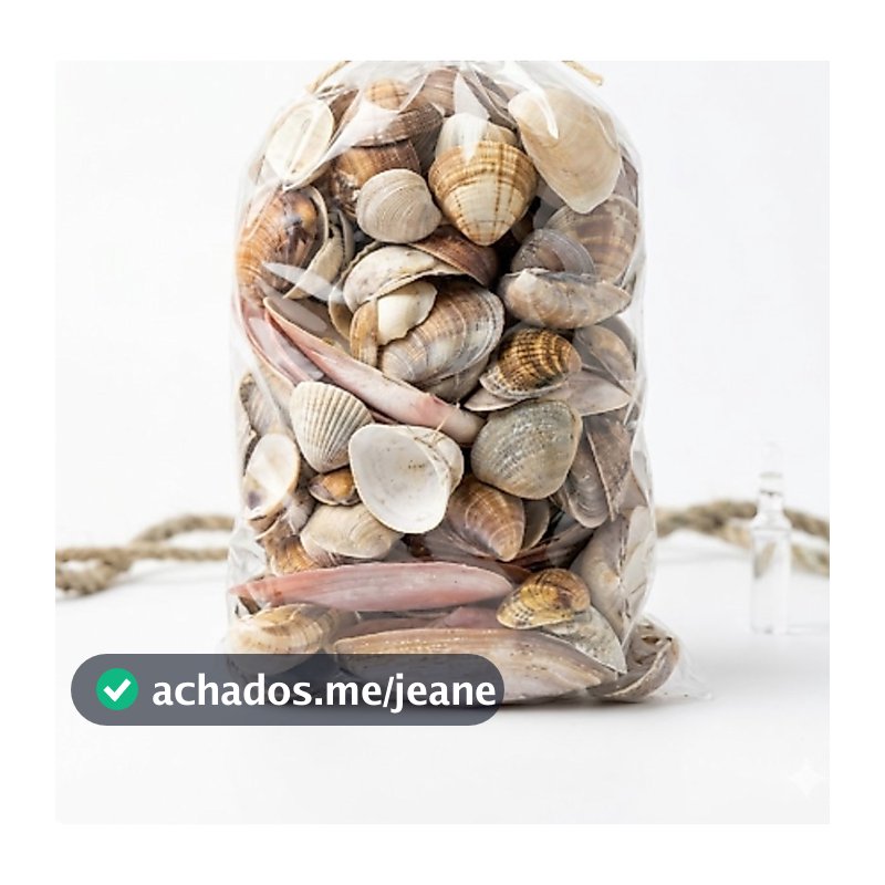 Conjunto De Conchas Para Enfeites De Aquário