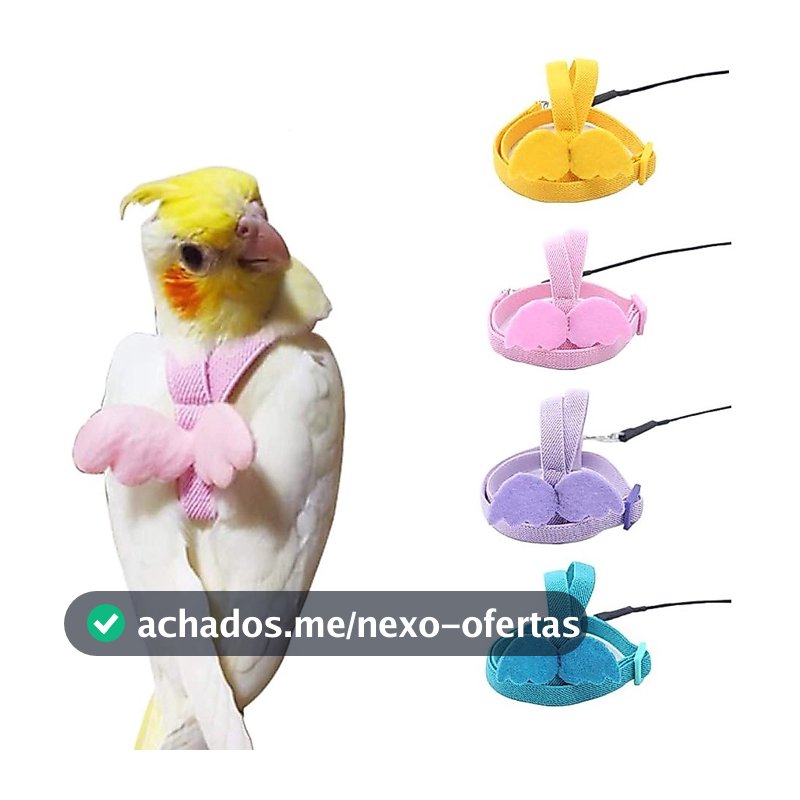 Coleira Para Pássaro Papagaio Arreios E Trela Voando Corda Cintas De Treinamento De Tração Budgerigar Pequeno Pássaros
