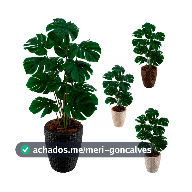 Costela De Adão Artifical Vaso Polietileno Completo Cores Acompanha Casca Pinus