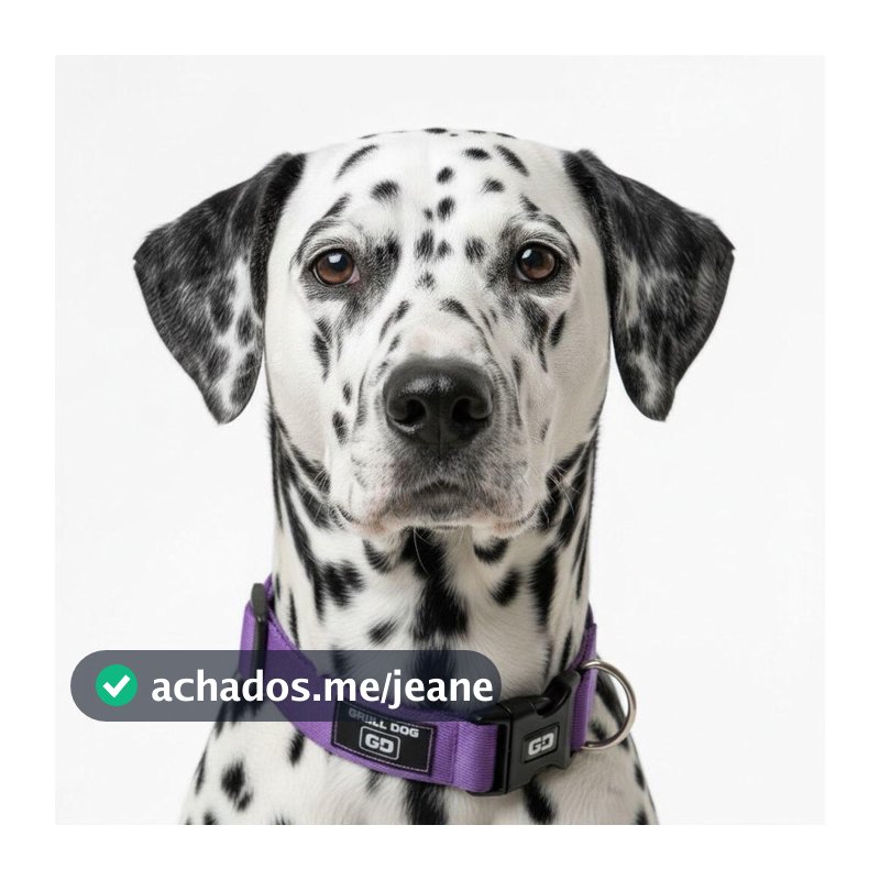 Coleira para cachorro com regulagem de tamanho cães grandes medio pequeno Pet Animais adestramento