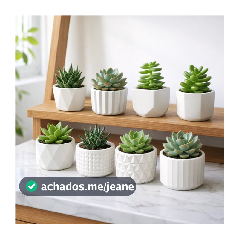 Kit 8 Vaso Decorativo de Gesso Texturizado Para Suculentas, Cactus e Plantas Artificiais Branco