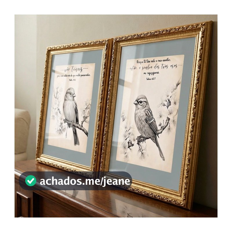 Quadros Clássicos Pássaros Moderno para Sala com Vidro e Moldura