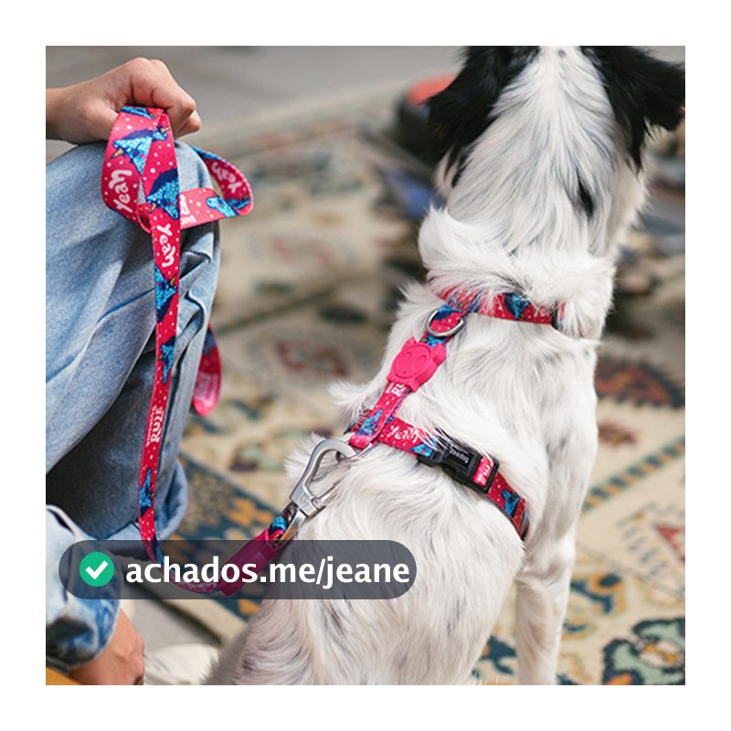Little B Cub Impressionante Fácil de Usar Zeedog Dog Street Wear Peito Costas em Forma de H Cinta Peitoral Colete para C
