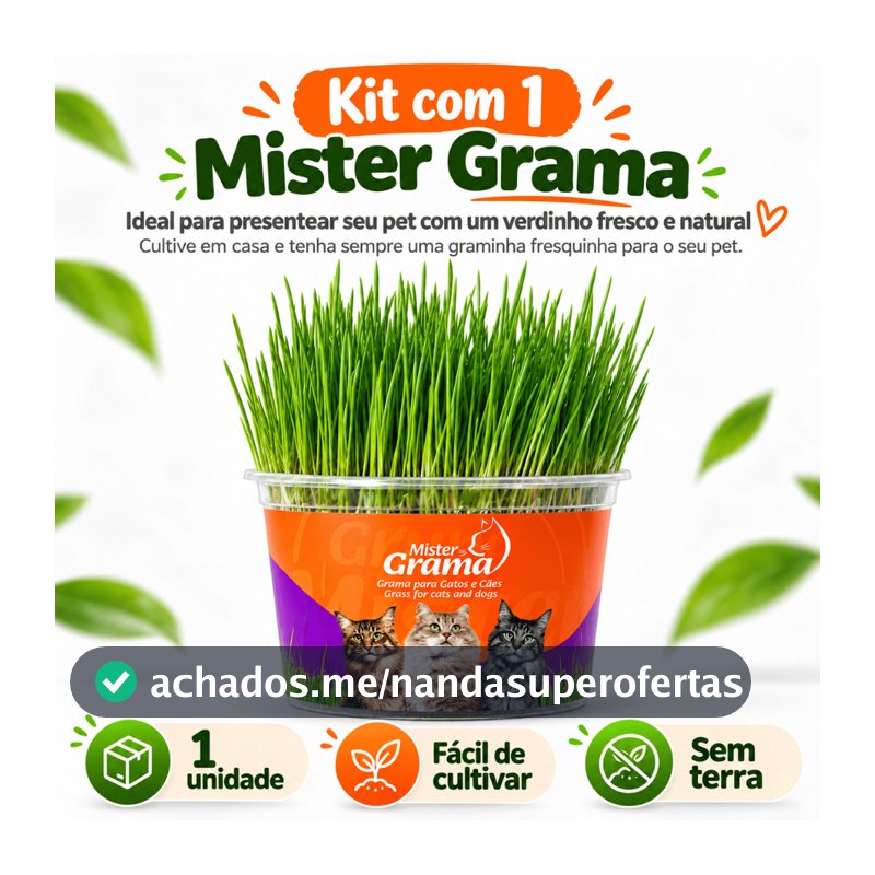 GRAMA PARA GATO MISTER FÁCIL DE PLANTAR E AJUDA NAS BOLAS DE PELO