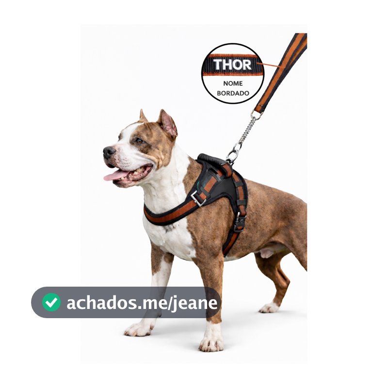Coleira pra cachorro peitoral colocamos nome Pitbull Golden Fila com guia anti puxão forrado