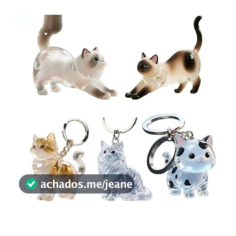 Chaveiro de acrílico para pelos de gato, caixa transparente para armazenamento de pelos de gato siamês, portátil.