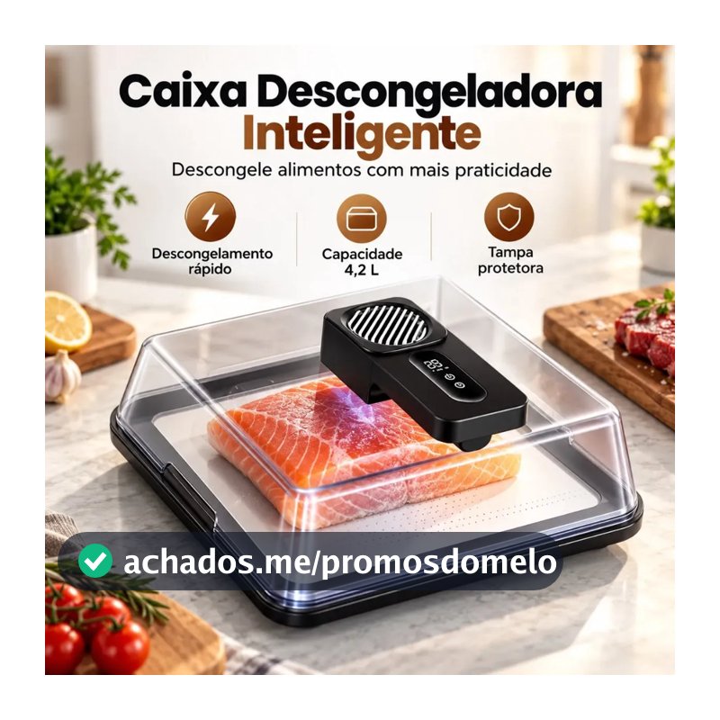 Descongelador Elétrico de Alimentos 4.2L Rápido 10 Minutos Com Tampa p/ Carne e Cozinha - Descongelamento Rápido