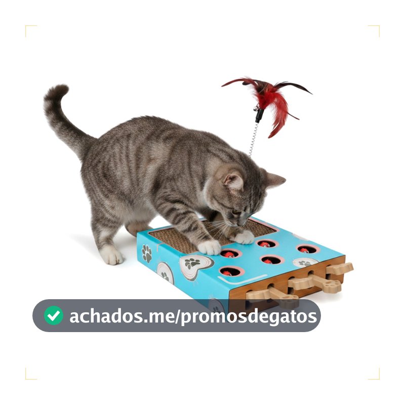 Brinquedo Arranhador Interativo de Caça para Gato 3x1