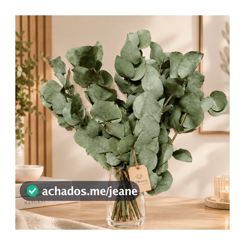Eucalipto Natural Desidratado- 10 Hastes, Cheiroso Aroma Suave Decorativo