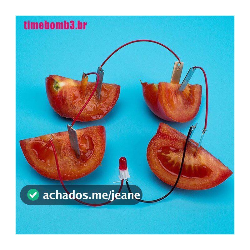 1 Conjunto Kit De Experimento Elétrico Bio Energia Para Frutas / Batatas / Experimentos