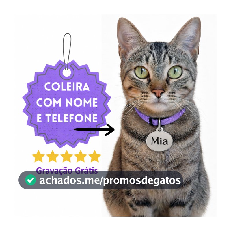 Coleira para Gato Anti Enforcamento com Identificação Nome e Telefone
