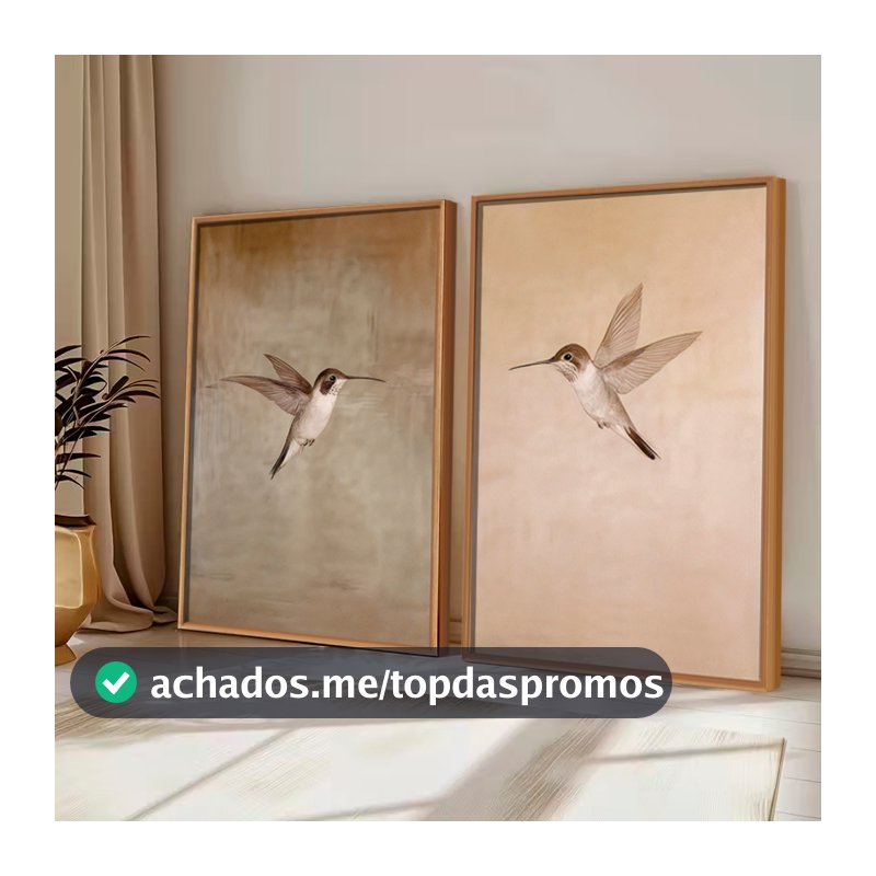 Kit2 QUADROS decorativo com MOLDURA CAIXA ALTA grande 41x61 cm Beija-Flor, Arte Minimalista Retrô para Decoração Rústica