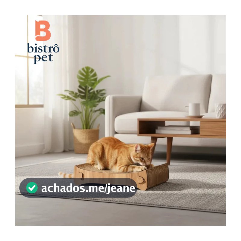 Arranhador Para Gatos Cama Papelão Gato Divertido