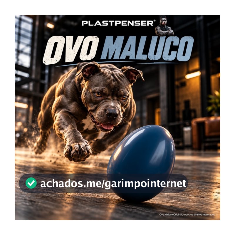 Brinquedo Mordedor para Cachorro Ovo Maluco Pet Interativo Resistente Antiestresse