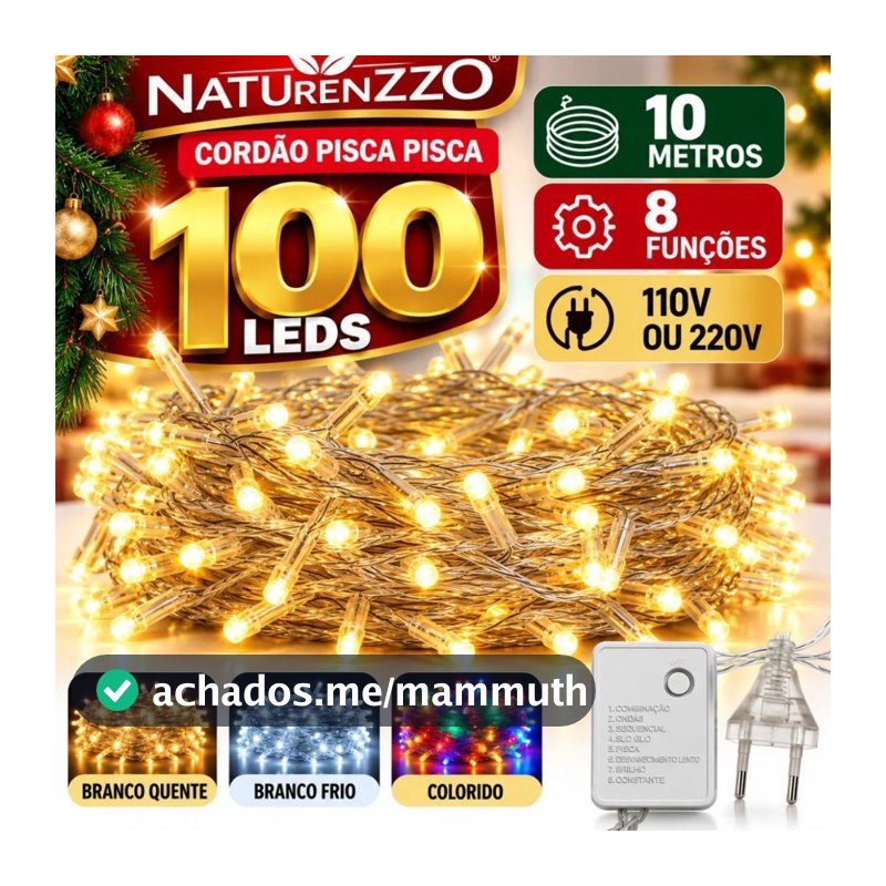 Pisca Pisca Natal 100 LEDs 10 Metros 8 Funções 110V 220V Branco Quente Branco Frio Colorido Fio Branco Naturenzzo