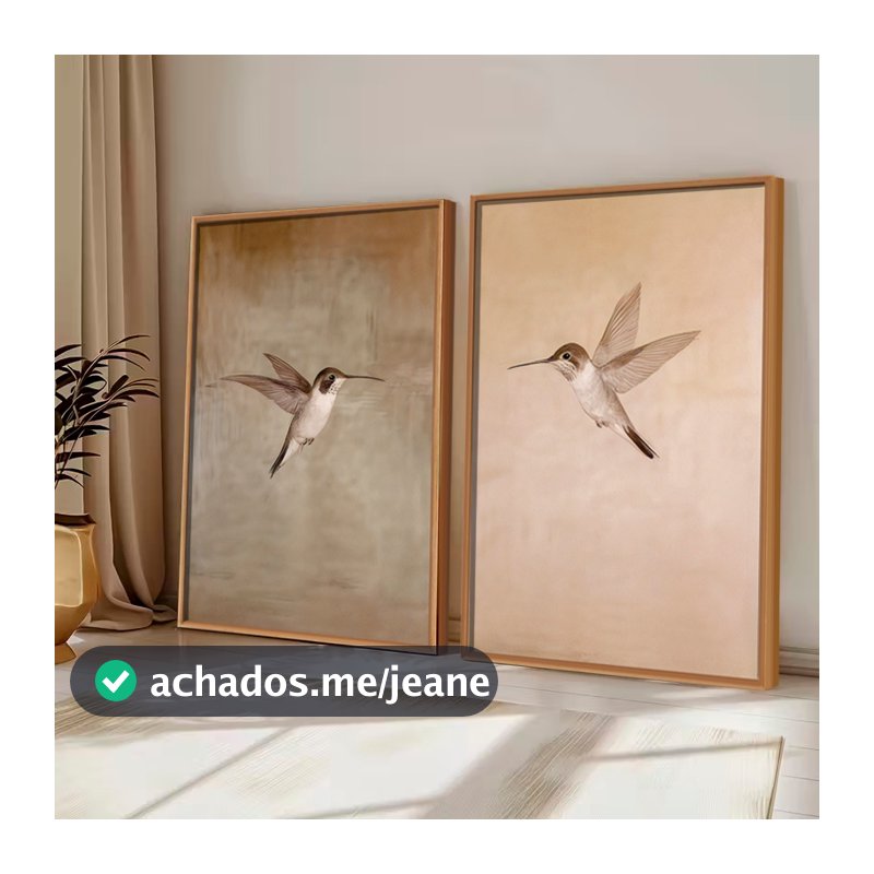 Kit2 QUADROS decorativo com MOLDURA CAIXA ALTA grande 41x61 cm Beija-Flor, Arte Minimalista Retrô para Decoração Rústica