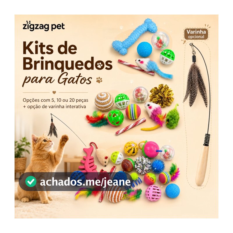 Kit 5/10/20 Brinquedos para Gatos Varinha Bolinhas Ratinhos Penas Modelos Sortidos
