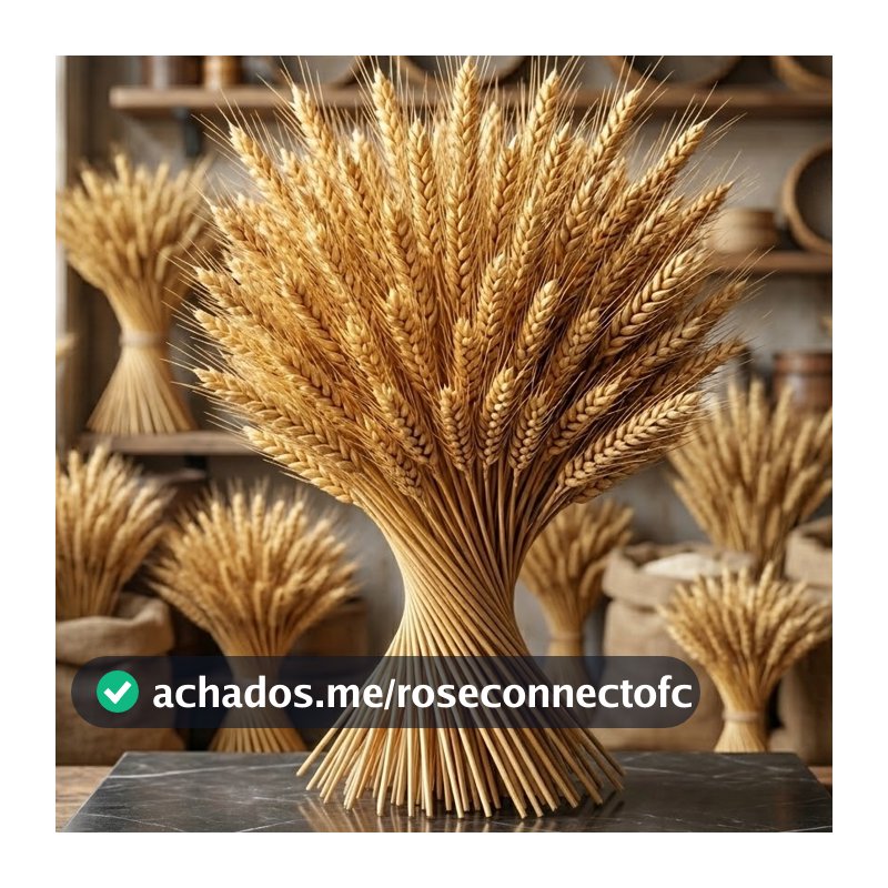 Trigo Seco Natural 40/80/120/240/400 Hastes De Trigo | Flor Seca Para Decoração e Arranjos, Vasos