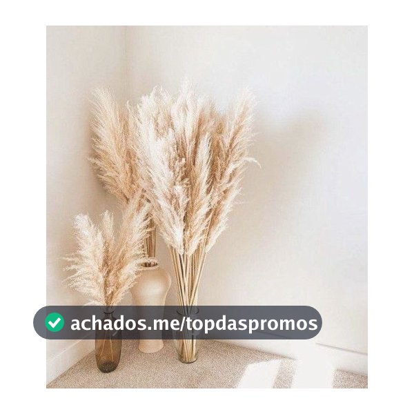 Kit com 10 Plumas Natural / Capim dos Pampas