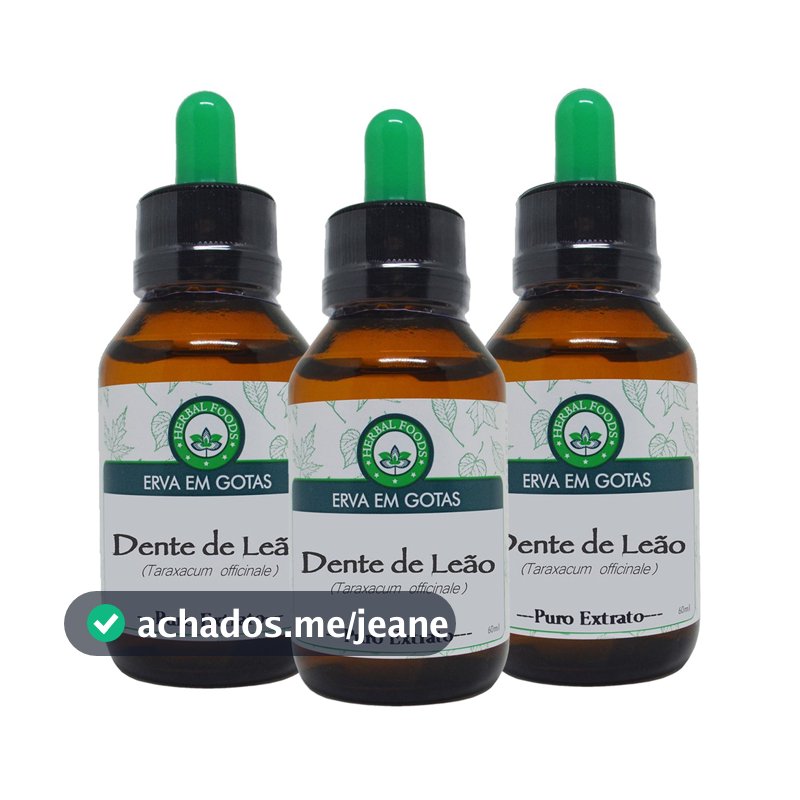 Kit 3 Dente de Leão - Concentrado Vegetal Líquido - 60ml cada