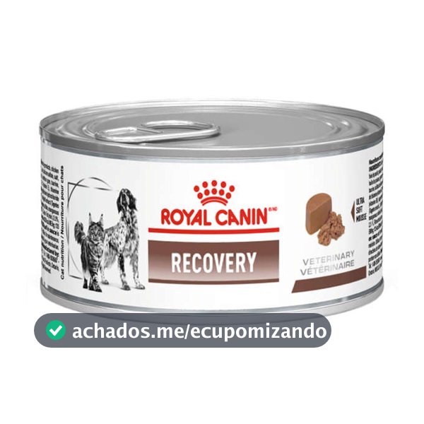 Ração Úmida Lata Royal Canin Veterinary Diet Recovery Cães e Gatos Adultos 195g
