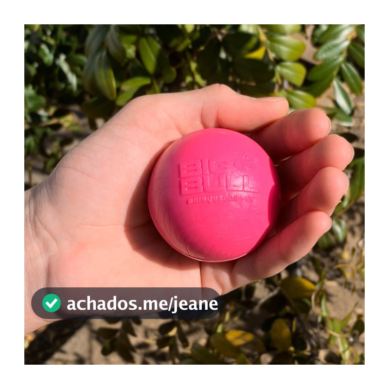 Brinquedo Cachorro Pet Bolinha Interativa Bola Maciça Resistente Pula Pula Porte Médio Big Bull Pet