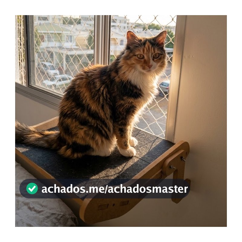 Janeleira Para Gatos Cama Suspensa De Janela Varanda MDF 15mm Reforçado Suporta Até 25kg
