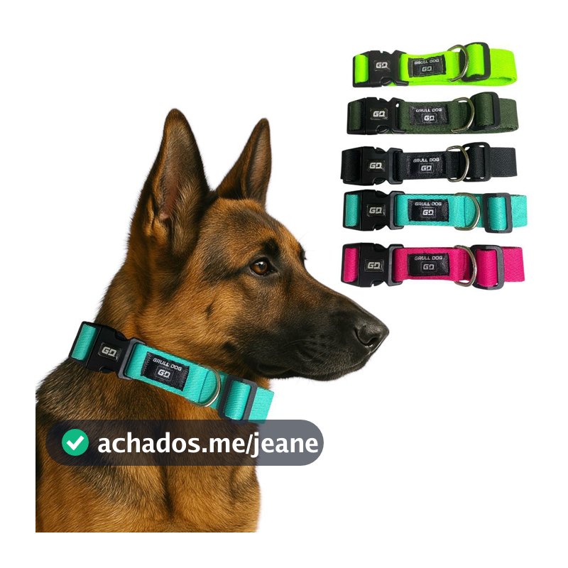 Coleira para Cachorro Ajustável Resistente Estilosa Pet Pequeno médio e grande porte