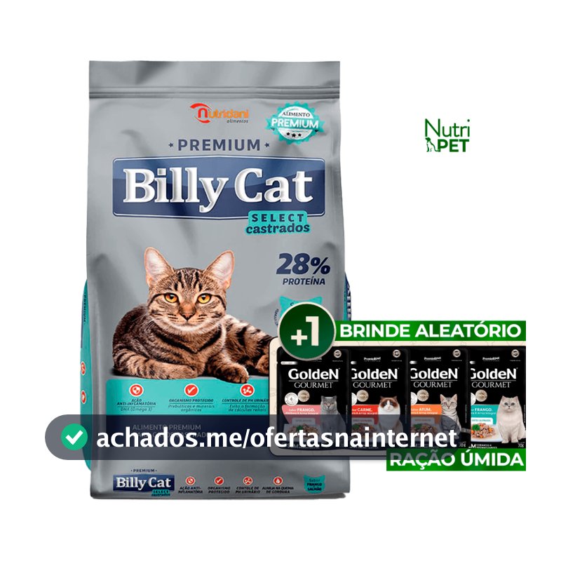 Billy Cat Castrados Frango e Salmão 15Kg