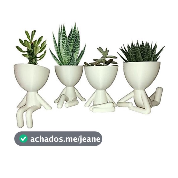Robert Plant Kit 4 Mini Vasinhos 6cm Cactos Suculentas Decor