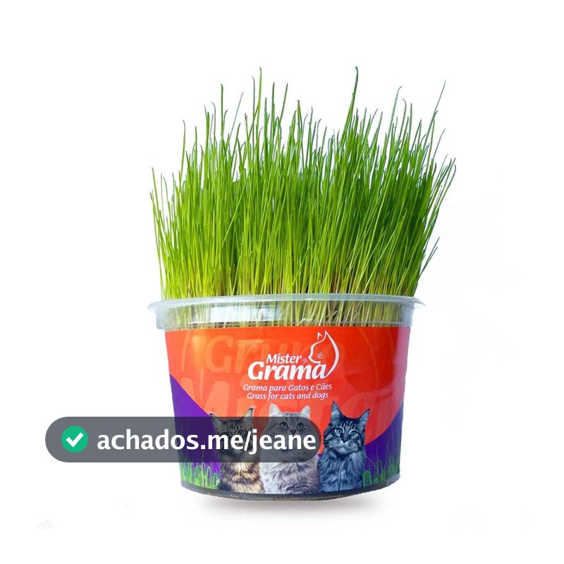Graminha Digestiva Para Gatos Eliminação Pelos Mister Grama