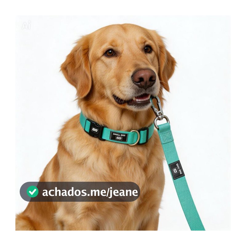 kit Coleira  + Guia Mãos Livres 2m para coleira de cachorro ou peitoral
