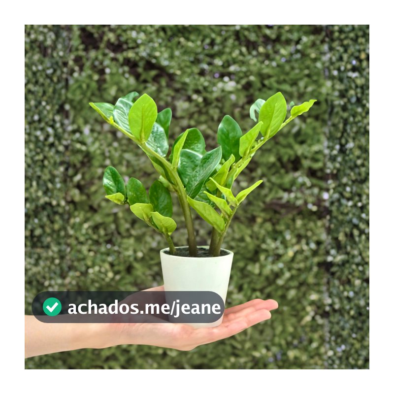 Zamioculca no Vaso Planta Artificial Realista Decoração Jibóia Costela de Adão Nervura Guaimbê Orelha de Gato 16x24cm