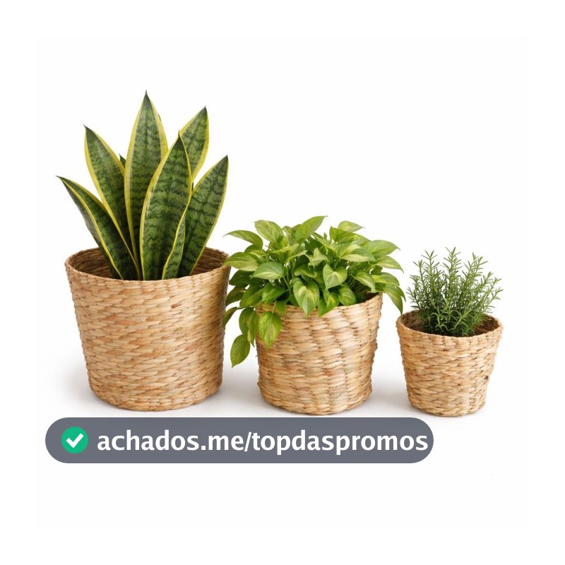 Kit 3 Cachepôs de Palha de Taboa Artesanal P M G | Cesto Decorativo para Plantas e Decoração