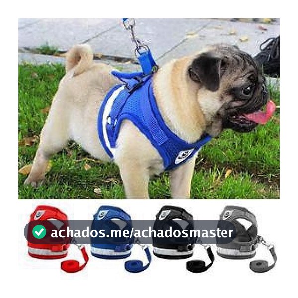 Peitoral e Guia para Cachorro Coleira Caes E Gatos Colete Regulavel Confortavel para Pet Pequeno