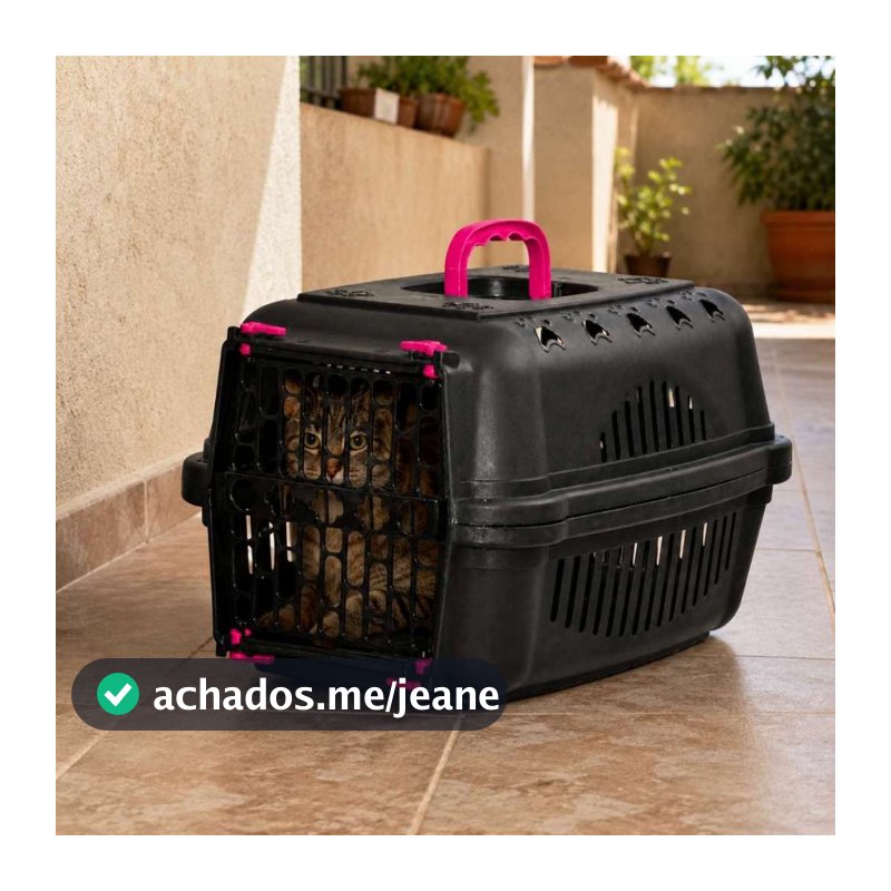 Caixa Transporte Pet Cachorros Cães Gatos Coelhos N1 N2 N3