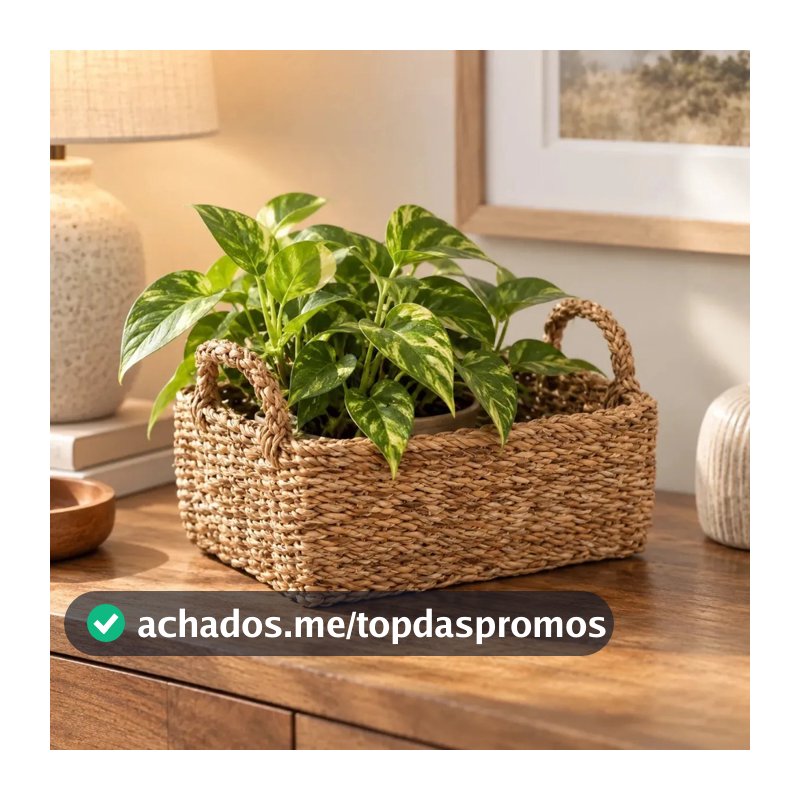 Cesto Natural Organizador Cachepot Pequeno Multiuso Cestaria Seagrass Boho decorativa Organiza Ambientes