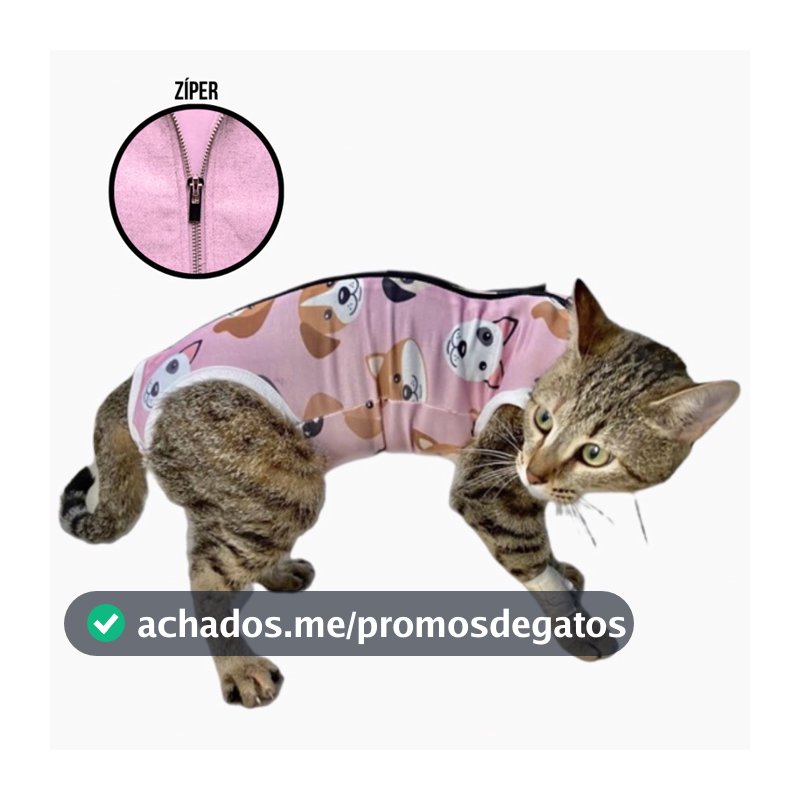 Roupa Pós-cirúrgica Gatos, Roupa Cirurgica para Gatos UV e Antialérgico