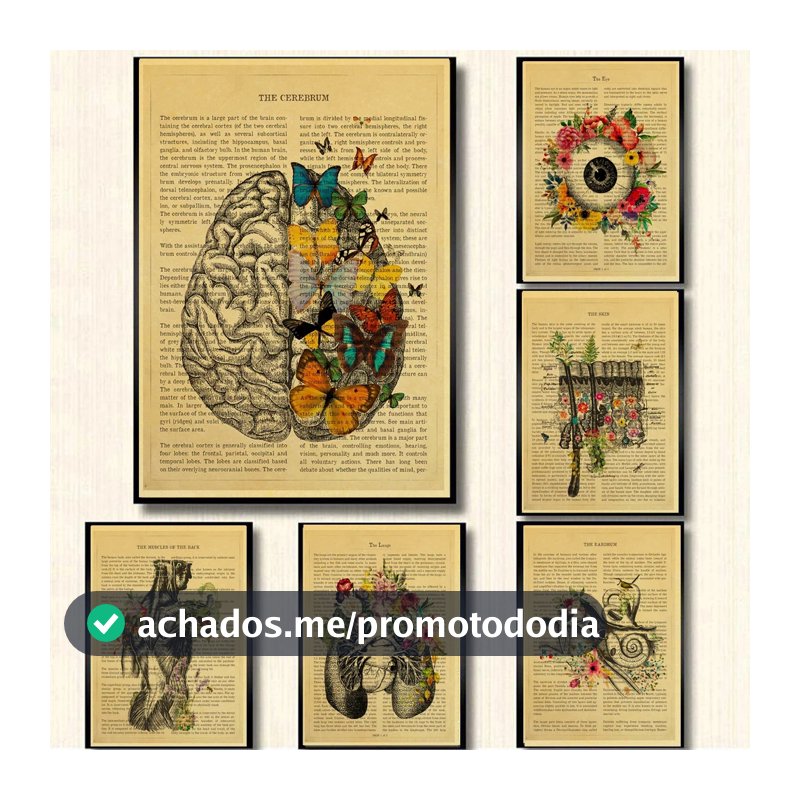 Quadro decorativo Anatomia floral coração cérebro órgãos médicos cartaz  decoração, Corpo humano