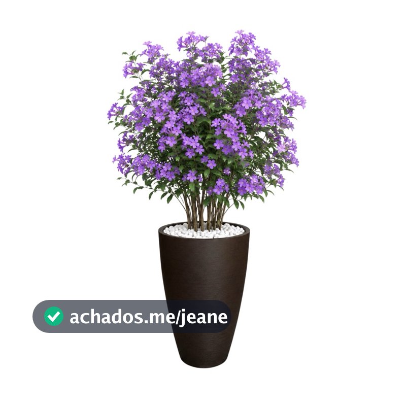 Vaso Planta 65x40 Oval Moderno Plantar Primavera Buchinho Decorar Casa Leve e Resistente
