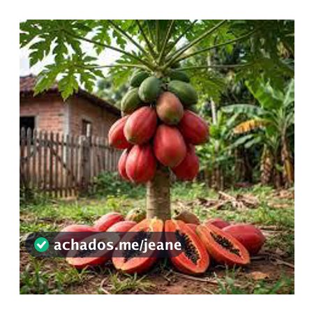 10 Sementes de Mamão Anão Vermelho – Compacto, Doce e Muito Produtivo