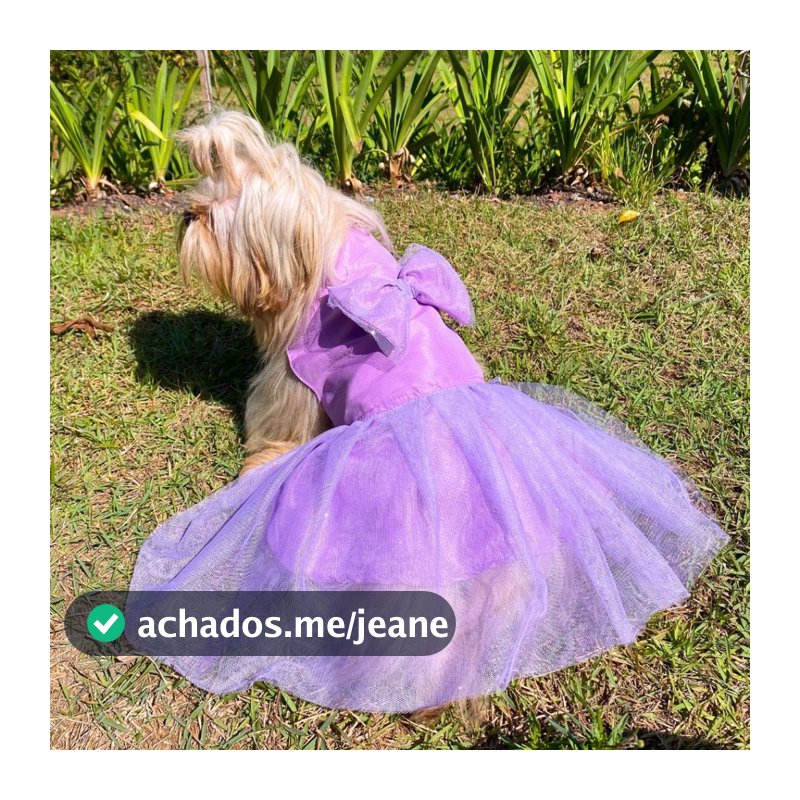 Vestido Para Cachorro Femea Encantado Gaby Pet Roupa com Tule e Glitter Brilhante Pequenos e Médios Roupa de Festa
