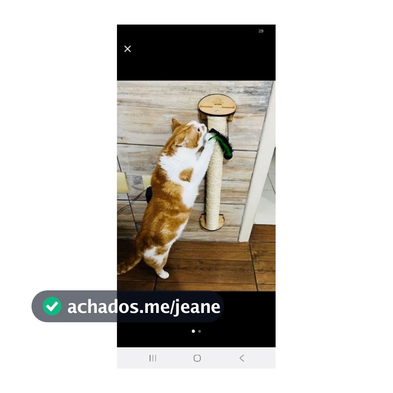 Arranhador Resistente para Gatos Ativos Parede Brinquedo Pet Poste Sisal