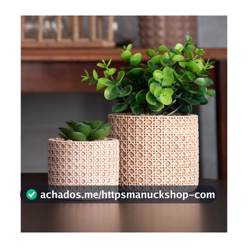 Cachepot Wolff de Cerâmica com Suculenta Treliça 7,5cm