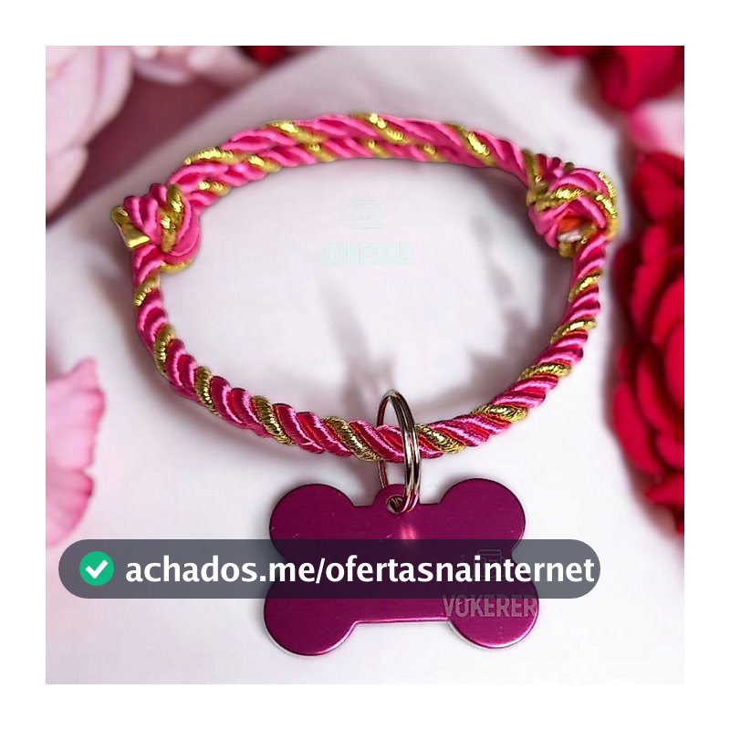 Coleira Gato Cachorro Trançada Ajustável com Nome do Pet Personalizada
