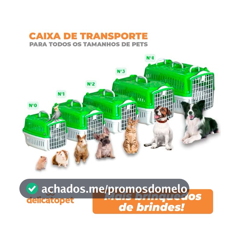 Caixa de Transporte Pet Para Caes Cachorro e Gato Pequeno Medio e Grande