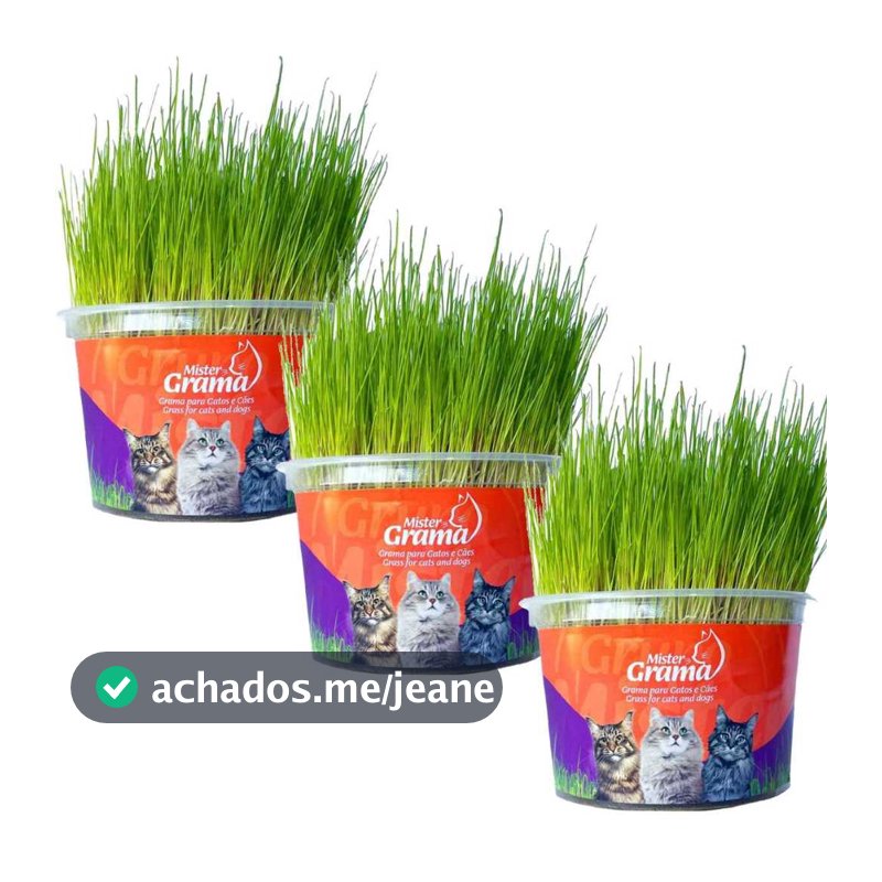 Kit 3 Graminhas Mister Para Gatos Digestão Saúde intestinal